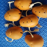 Lot of 6 Mr. Potato Head Bare Plastic Tater Tot Body Toys - Tan